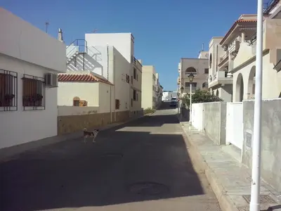 El barrio de los alrededores o un barrio cerca de este apartamento