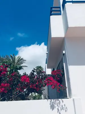 Plano de Arto Blanco