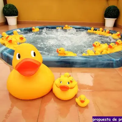 Tu Hogar en Verazul