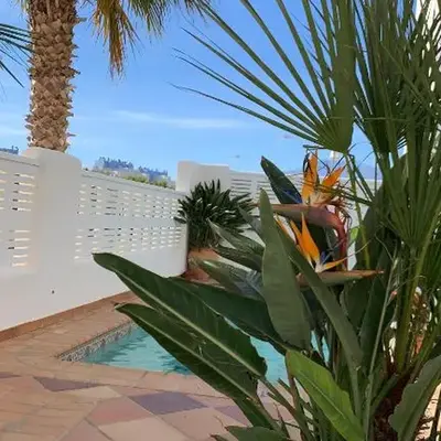 villa cinco palmas
