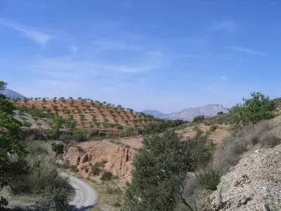 Paisaje cerca de este apartamento