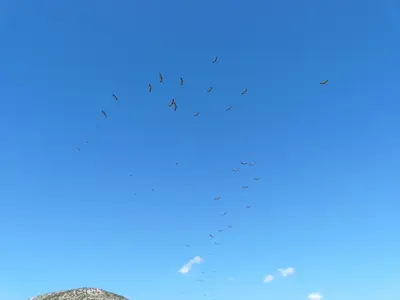Paisaje cerca de este apartamento