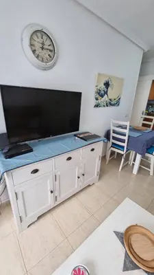 Una televisión o centro de entretenimiento en casa luxury 2 nudista