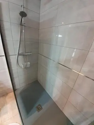 Un baño de casa luxury nudista