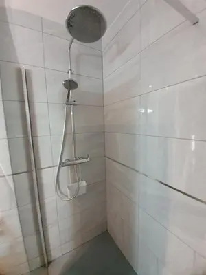 Un baño de casa luxury nudista