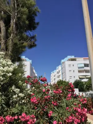 Jardín al aire libre en La Perla Azul Playa - Terraza al Sol