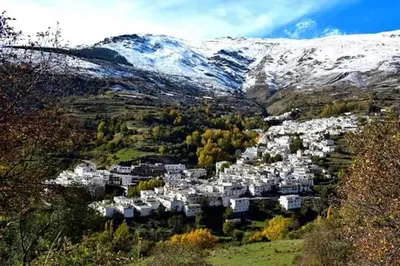 Paisaje cerca of this country house