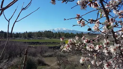 Paisaje cerca de esta casa o chalet