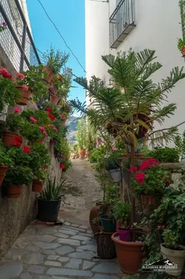 Jardín al aire libre en Alojamientos Rurales Los Macabes