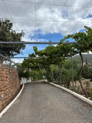 Plano de El Domingo en el Valle