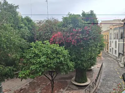 Jardín al aire libre en La Pita Guesthouse
