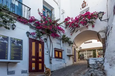 Edificio en el que se encuentra la casa o chalet