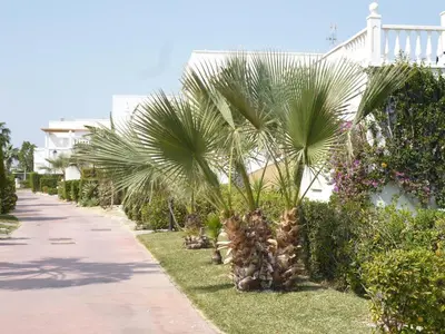 Jardín al aire libre en Bahía de Vera Apartamento Hibiscus