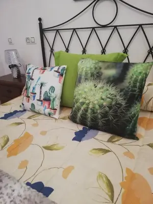 Cama o camas de una habitación en APARTAMENTO NATURISTA en PRIMERA LÍNEA DE VERA PLAYA!!!