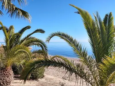 Paisaje cerca de este apartamento