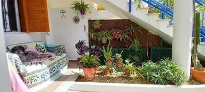 Jardín al aire libre en Casa Chiki