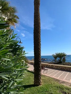 Paisaje cerca de este apartamento