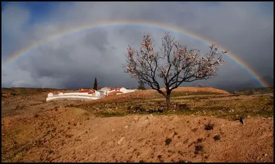 Paisaje cerca de este bed & breakfast
