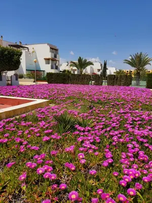 Jardín al aire libre en Apartamento Naturista en primera línea en Natura World!
