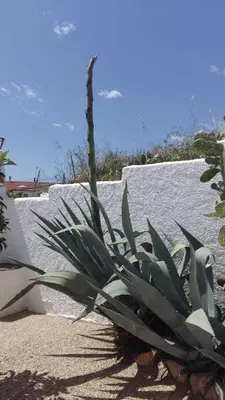 Plano de Cueva Las Rosas-VTAR/GR/02108