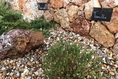 Jardín al aire libre en CASA GRANADO en Cabo de Gata