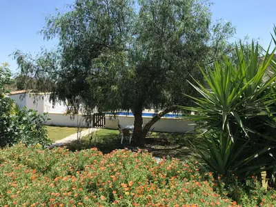 Jardín al aire libre en Bella Vista Rural Retreat