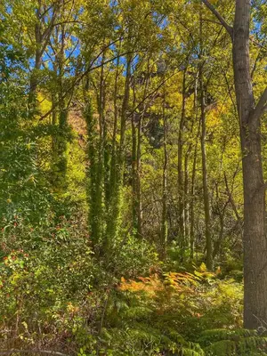 Paisaje cerca de esta villa
