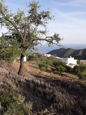 Paisaje cerca de esta habitación en casa particular
