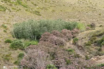 Paisaje cerca de este apartamento
