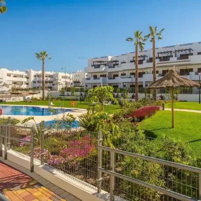 Palmera