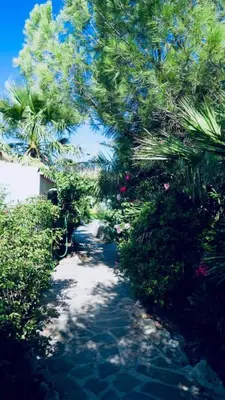 Jardín al aire libre en Cortijo Paraiso