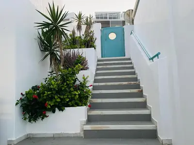 Plano de Estudio Garzolini