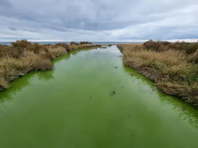 Paisaje cerca de este apartamento