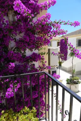 Jardín al aire libre en Sunny Coastal 1 Bed Apartment - Vera Coast: 2mins to Beach