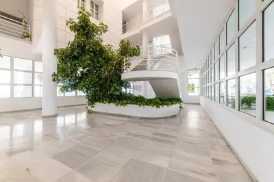 Jardín al aire libre en Apartamento Faro 2