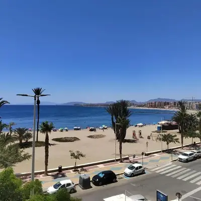 Las Palmeras 1