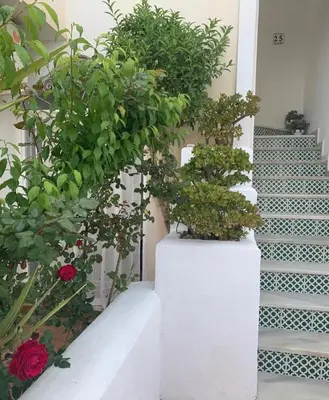 Jardín al aire libre en Vera Playa La Medina
