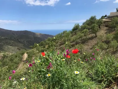 Paisaje cerca de este apartamento