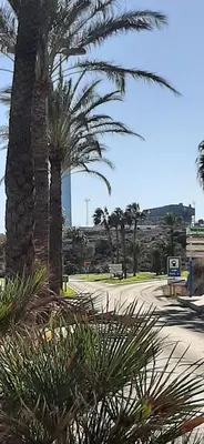 Jardín al aire libre en Apartamento carboneras y disfruta del LUJO del Parque Natural Cabo de Gata Nijar