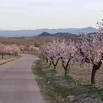 Paisaje cerca de esta casa o chalet