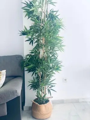 Zona de estar de Apartamento de dos dormitorios en Almería.