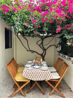 Jardín al aire libre en Casa Buganvilla con piscina en San José Sotillo