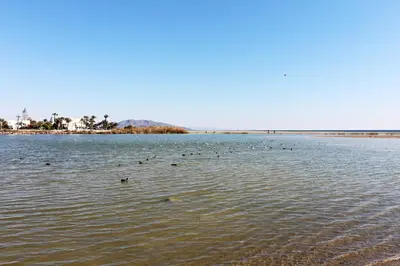 Paisaje cerca de este apartamento