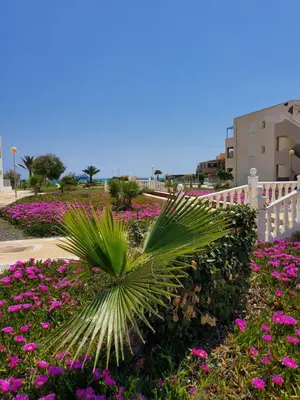 Jardín al aire libre en Casa baja naturista con patio en primera línea de playa con piscina comunitaria!