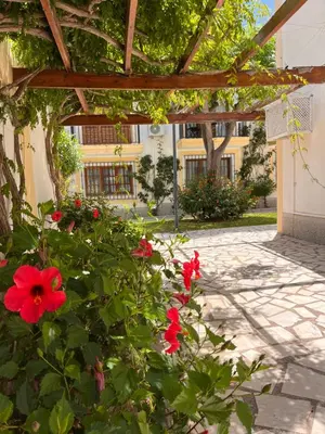 Jardín al aire libre en Apartamentos de Flores - Verde